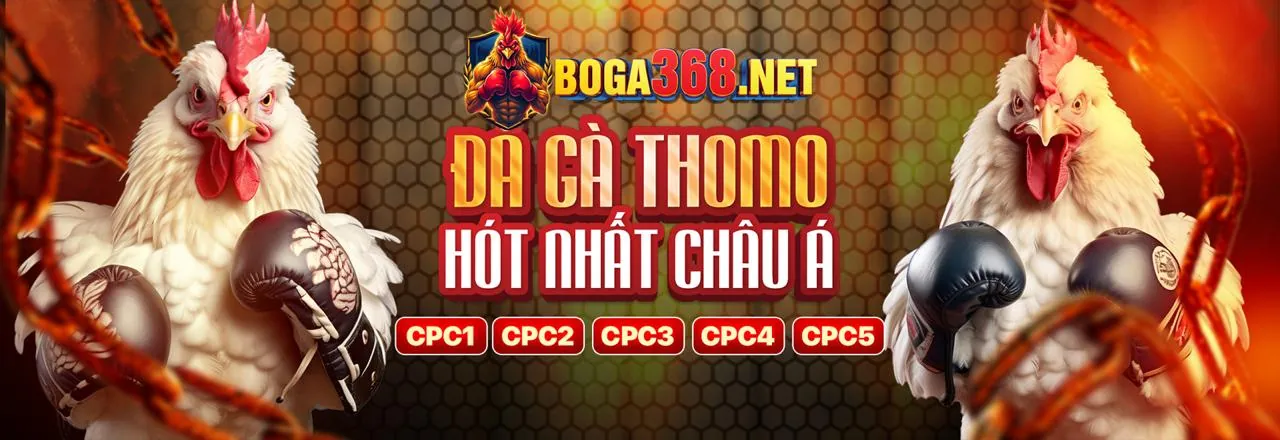Đá gà trực tuyến MM88B Chính Thức